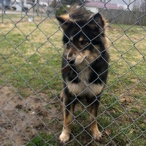 Meet your Posher, Brionna